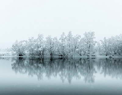 Ғалым: Конституциядағы жаңа нормалар елдің бөлшектенуіне әкелуі мүмкін