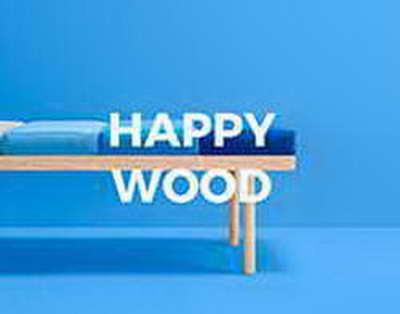 Президенттик мандатты конституциялык өзгөрүүлөр шартында колдонуу боюнча эксперттик пикир